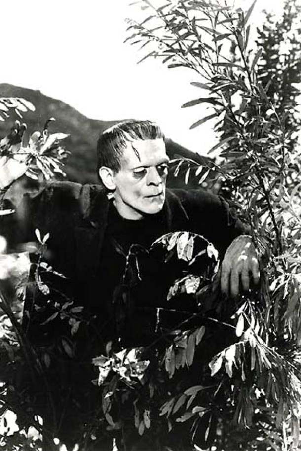 Frankenstein
