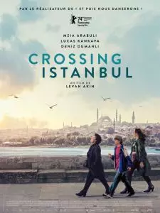 Crossing Istanbul