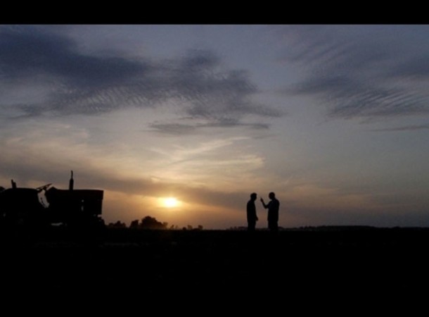 Cabbage, Potatoes and Other Demons