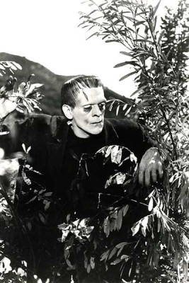 Frankenstein